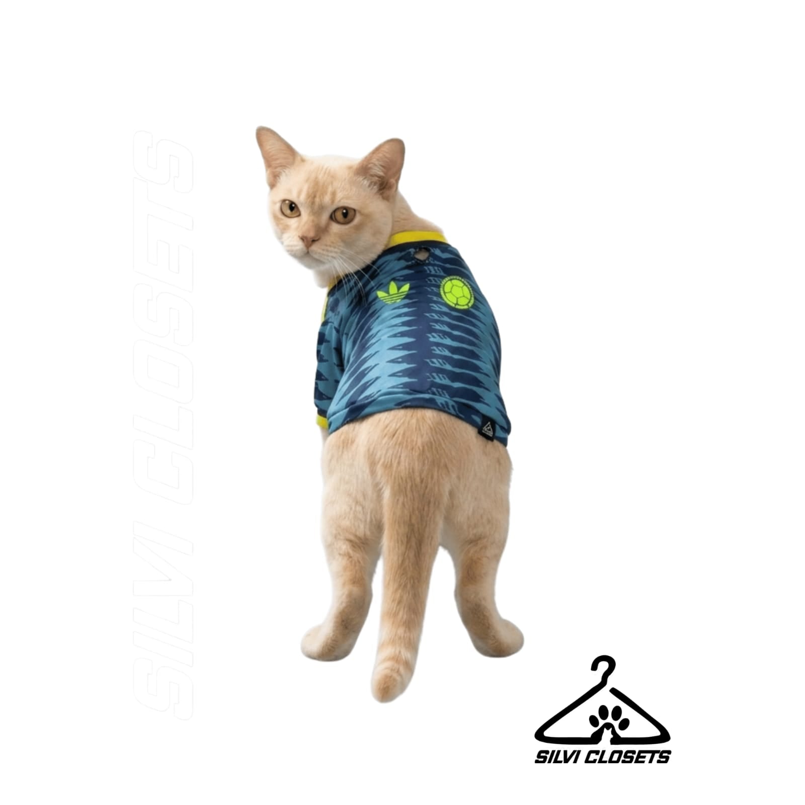 CAMISA DEL MUNDIAL PARA GATOS 2026 AZUL