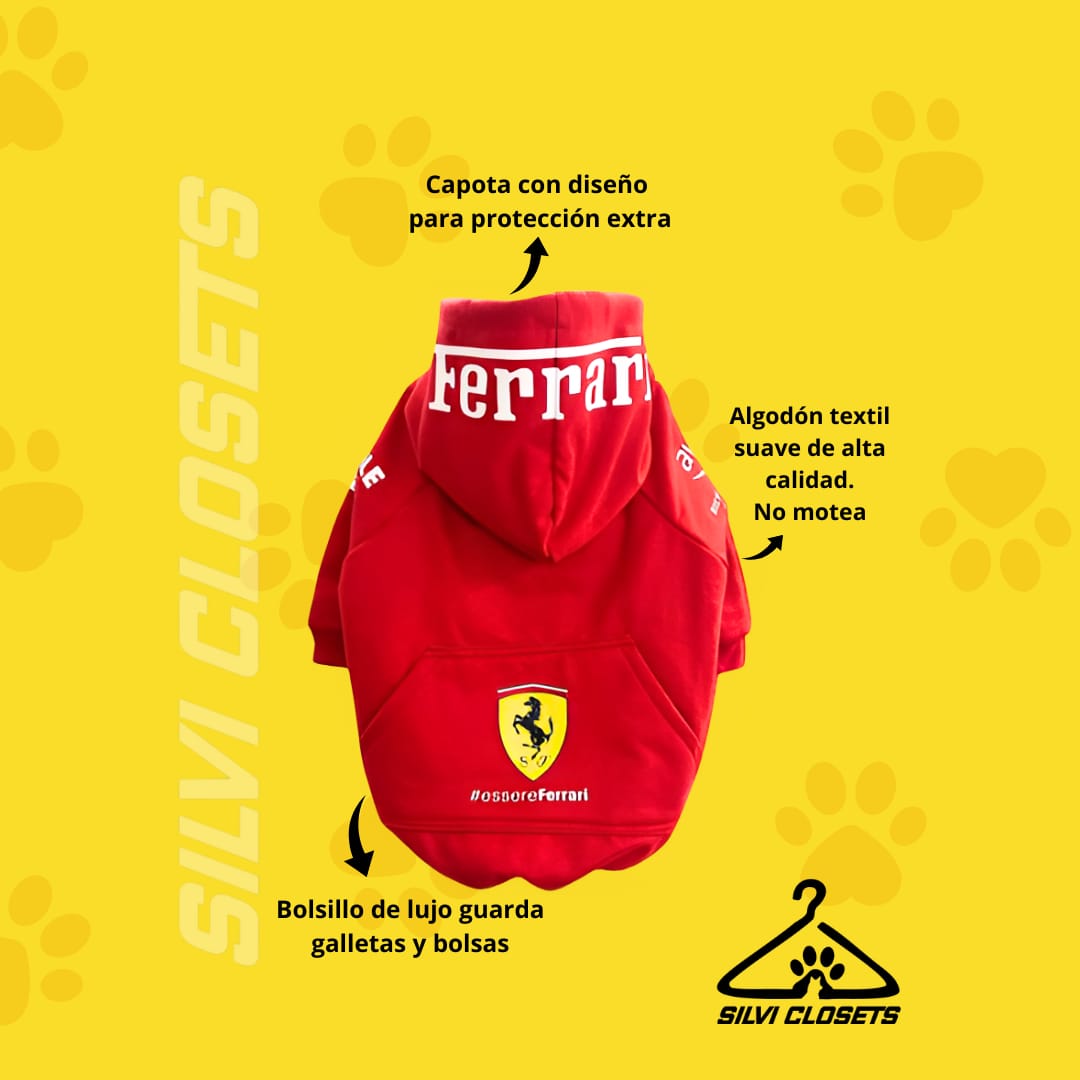 HOODIE FERRARI F1