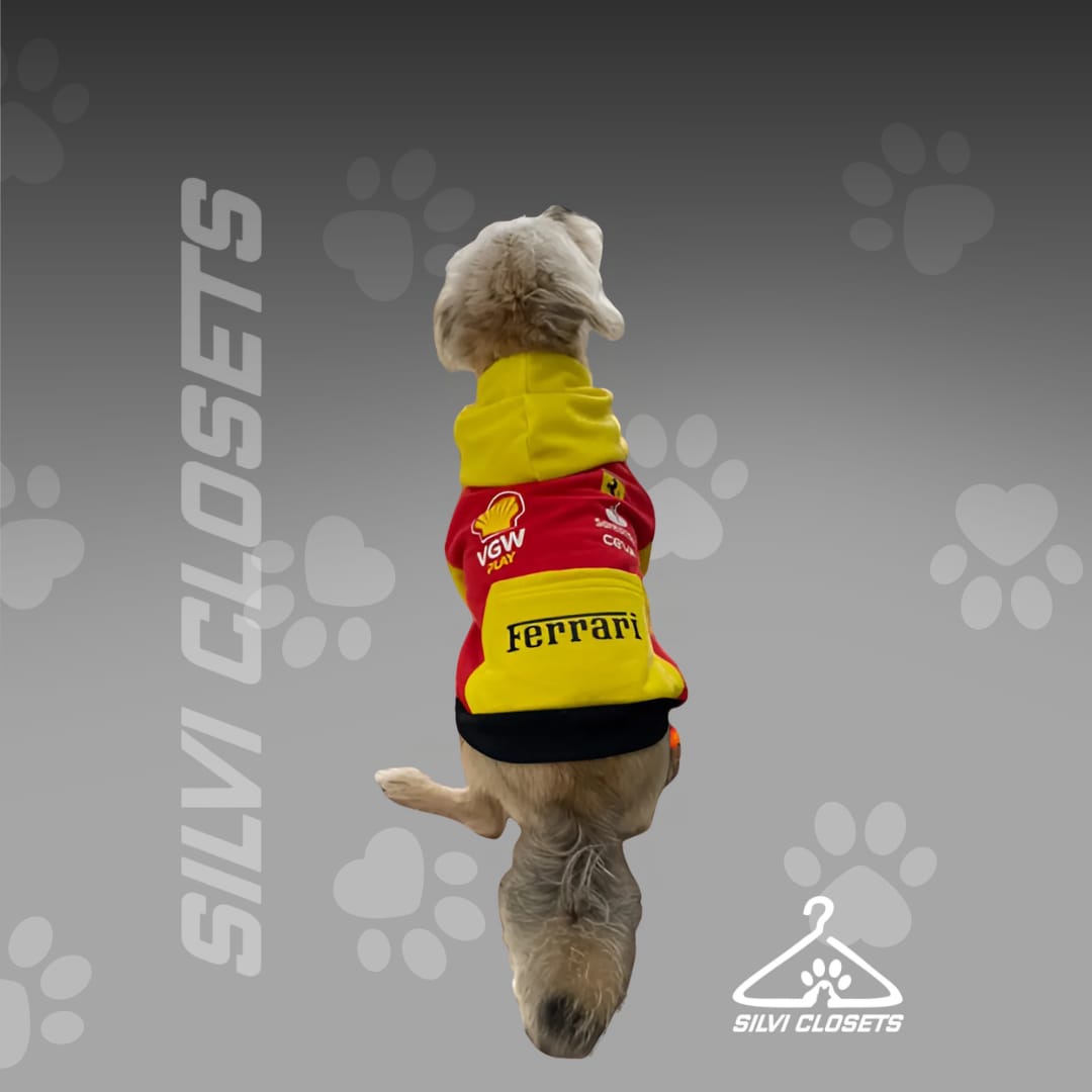 HOODIE FERRARI MONZA