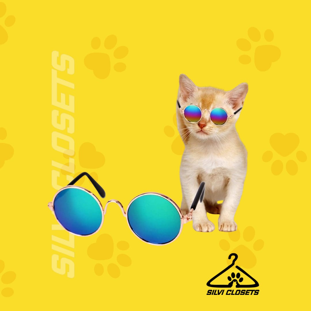 Gafas de sol para mascotas pequeñas