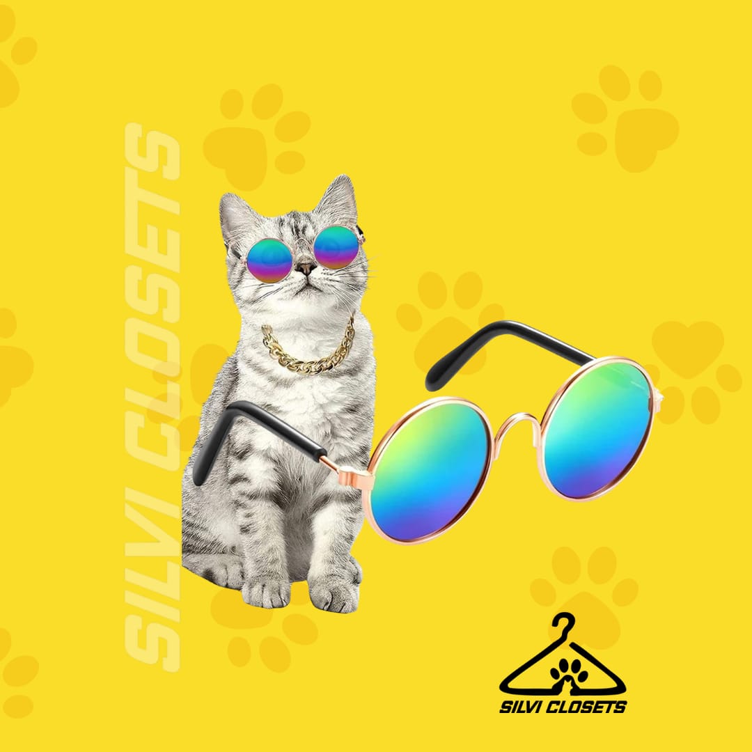 Gafas de sol para mascotas pequeñas