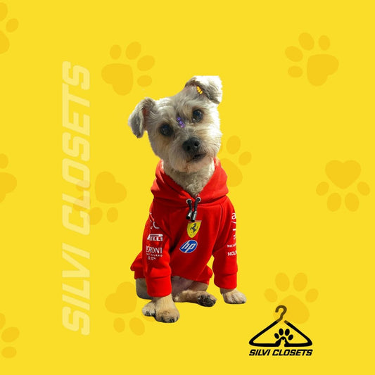 HOODIE FERRARI 2025