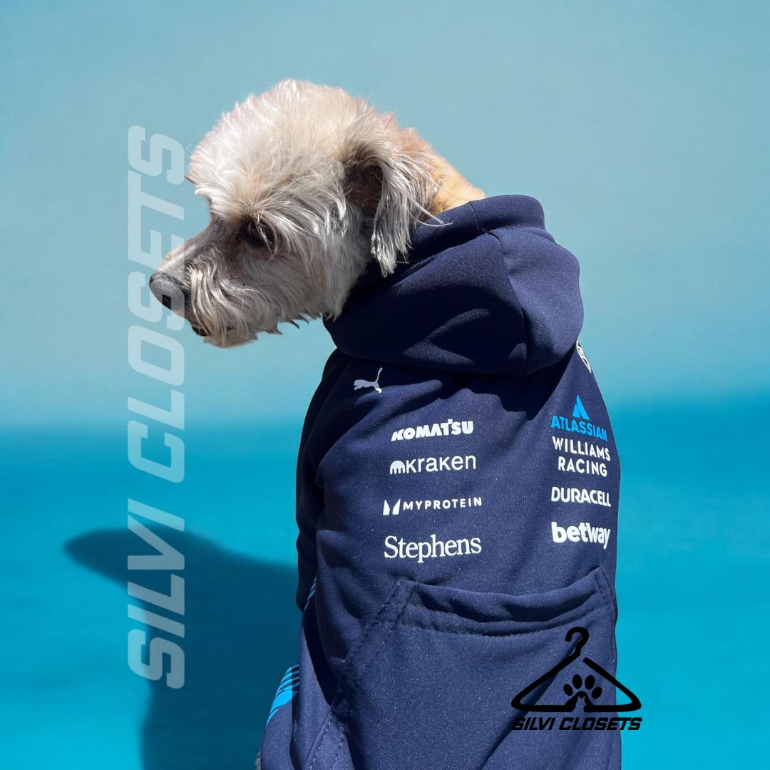 HOODIE WILLIAMS