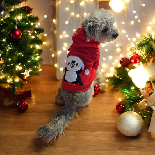 HOODIE MATCH NAVIDEÑO PARA MASCOTA