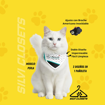 PAÑOLETA MERCEDES BENZ AMG