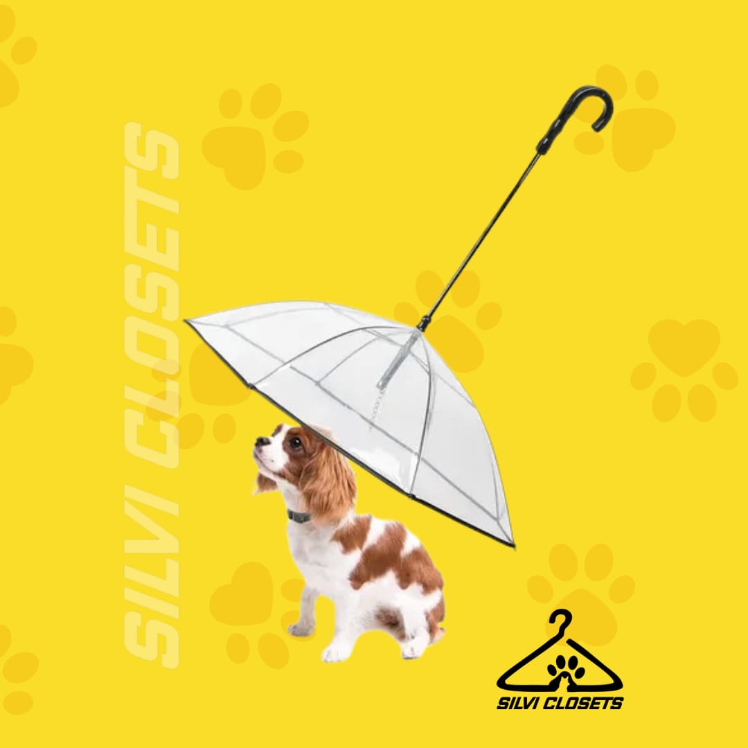 Paraguas para mascotas.