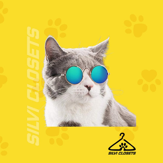 Gafas de sol para mascotas pequeñas