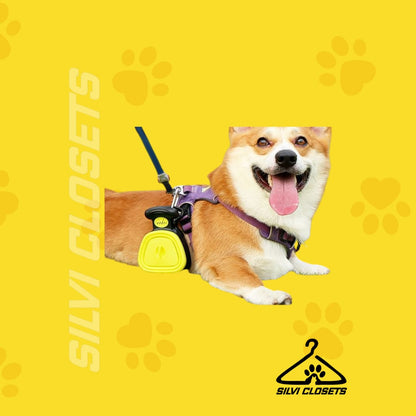 RECOGEDOR DE EXCREMENTO DE MASCOTAS🐕💩