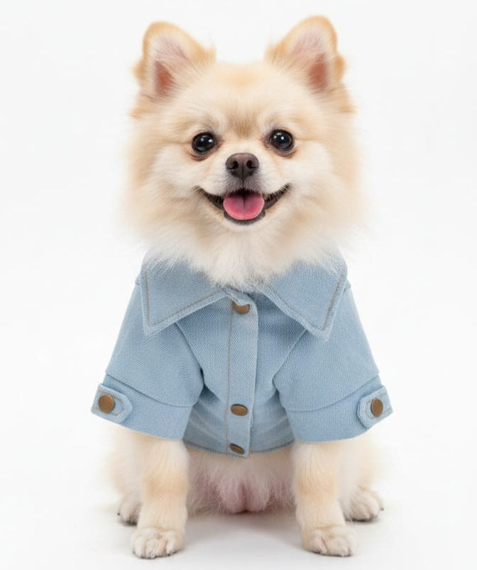 Chaqueta para Mascotas