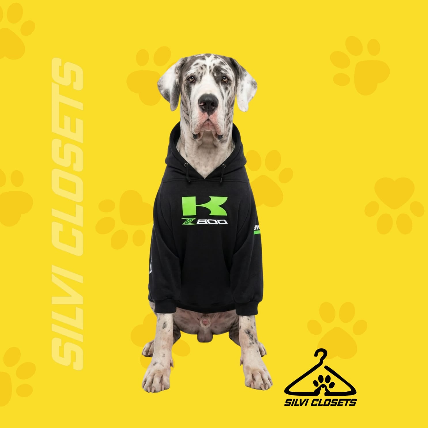 HOODIE KAWASAKI
