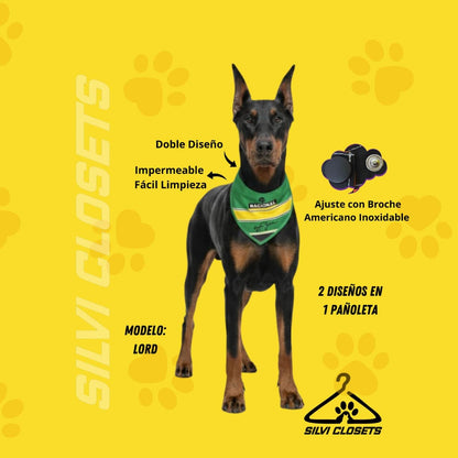 PAÑOLETA NACIONAL AYRTON SENNA