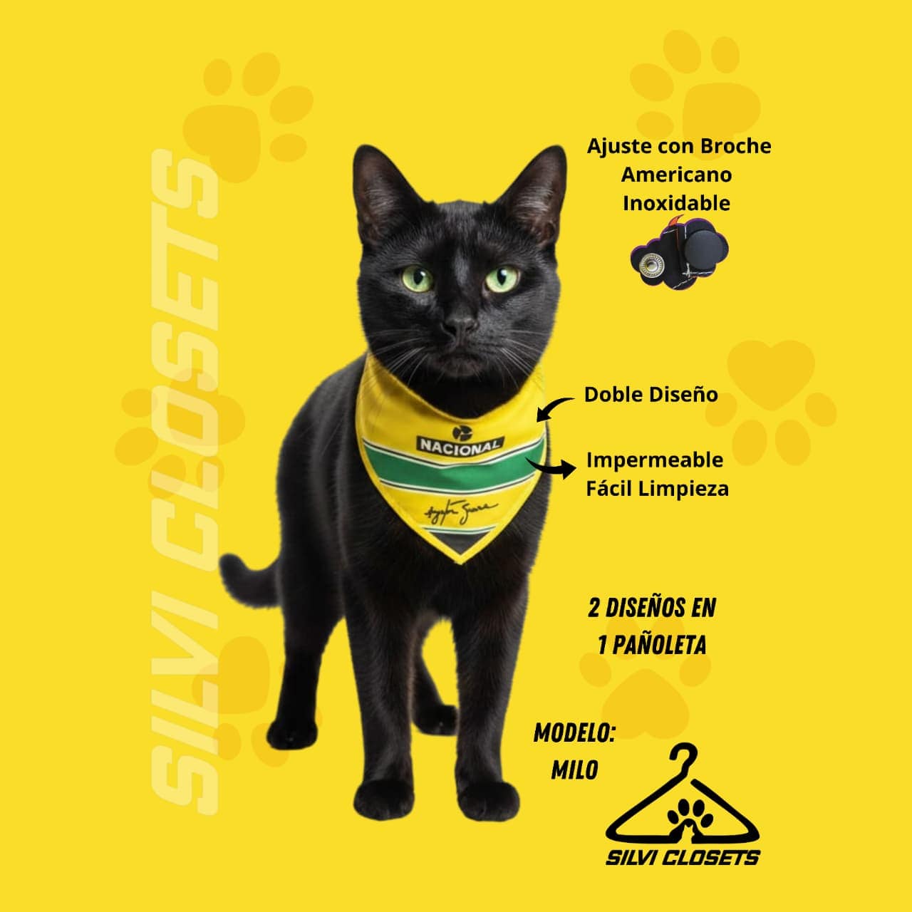 PAÑOLETA NACIONAL AYRTON SENNA