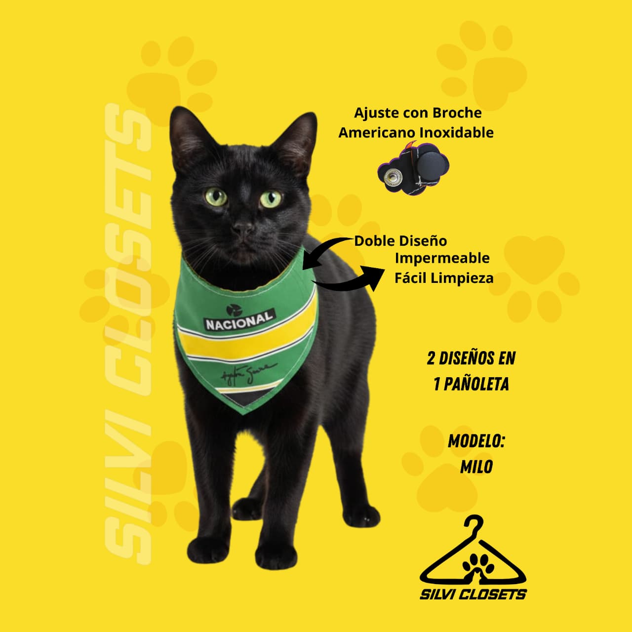 PAÑOLETA NACIONAL AYRTON SENNA