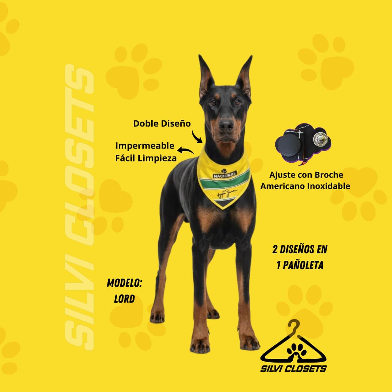 PAÑOLETA NACIONAL AYRTON SENNA