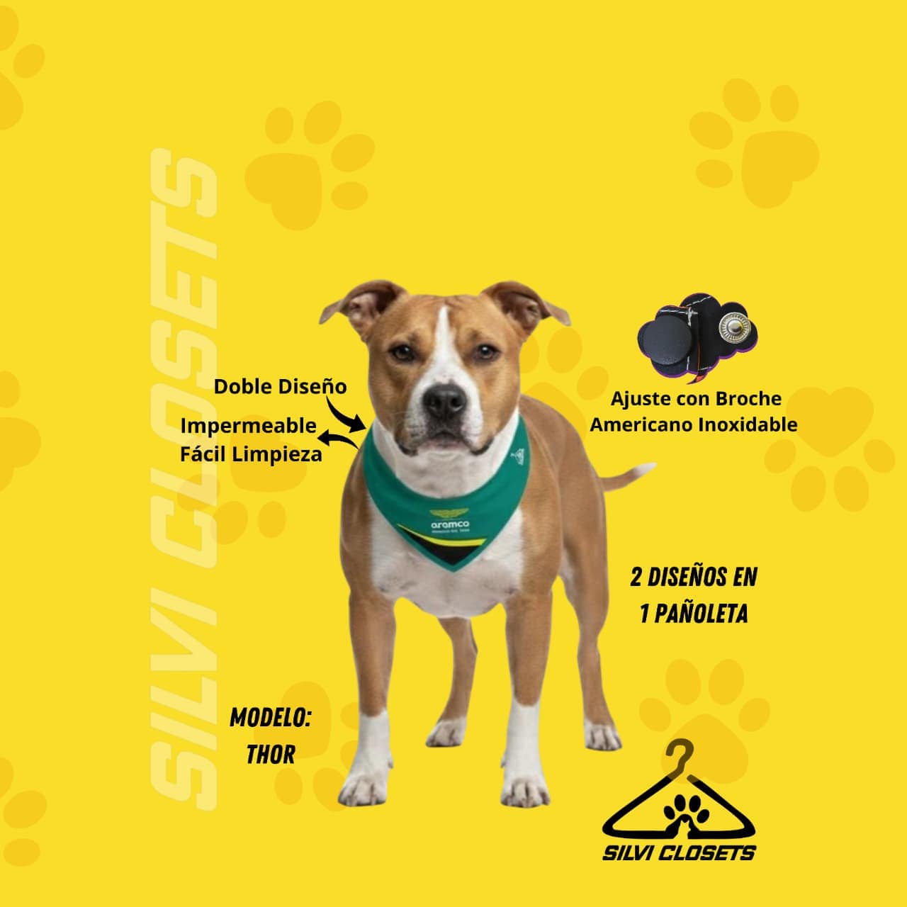 PAÑOLETA ASTON MARTIN