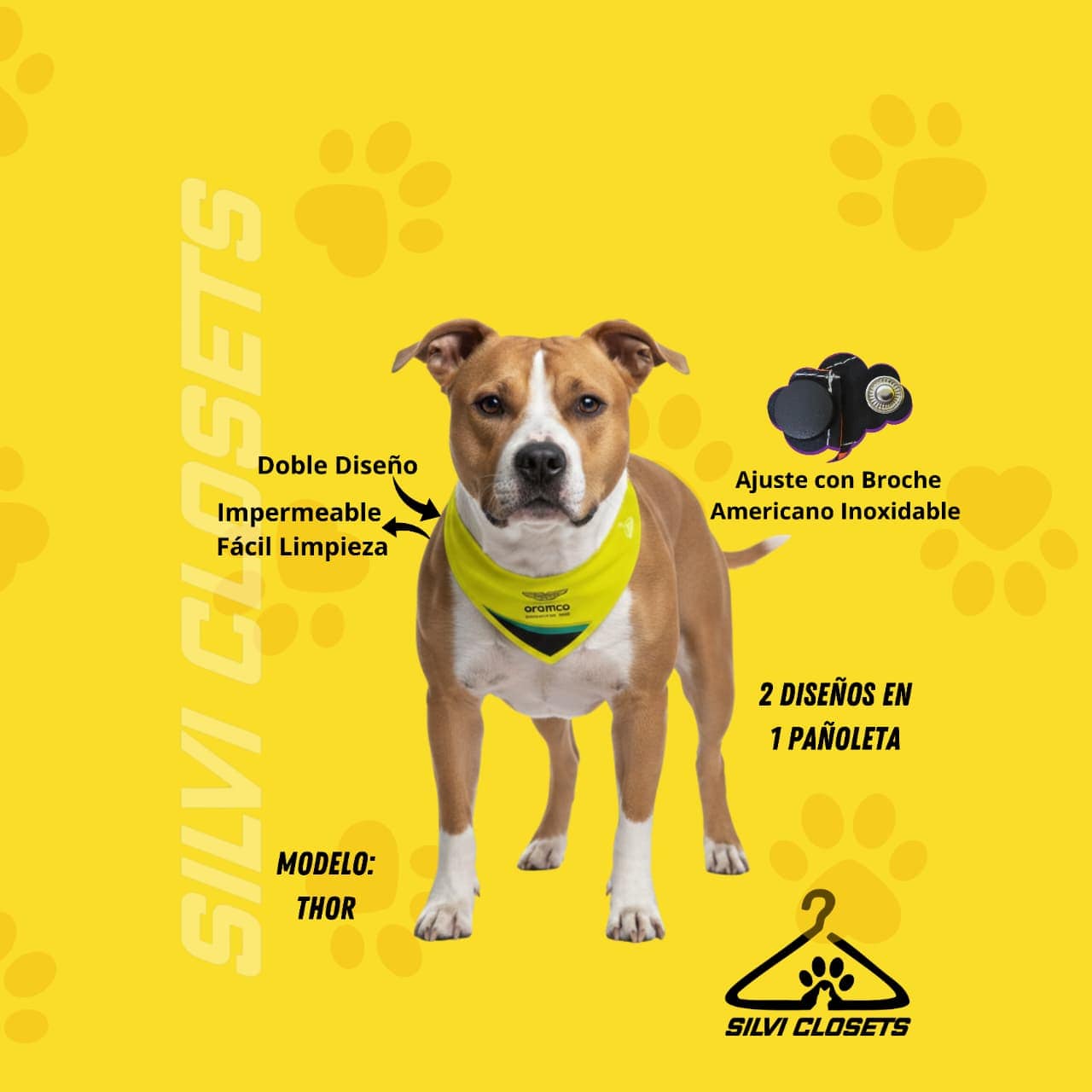 PAÑOLETA ASTON MARTIN