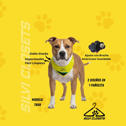 PAÑOLETA ASTON MARTIN