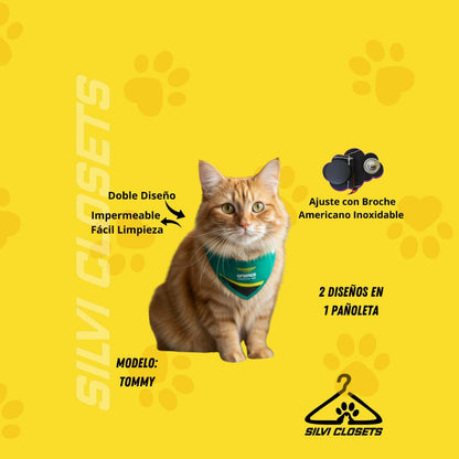 PAÑOLETA ASTON MARTIN