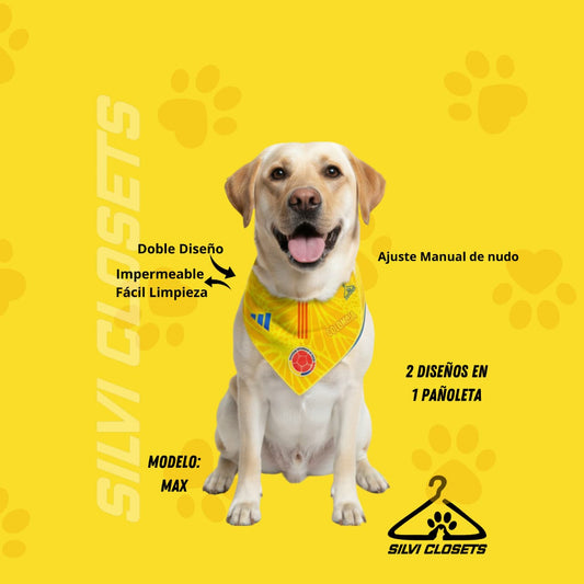 PAÑOLETA DE LA SELE