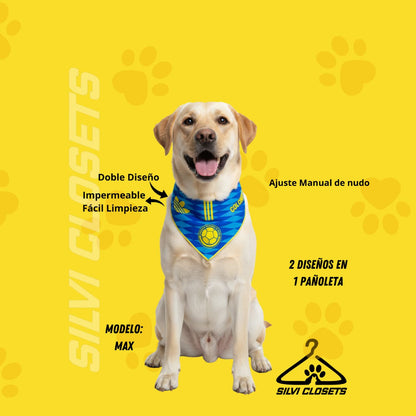 PAÑOLETA DE LA SELE