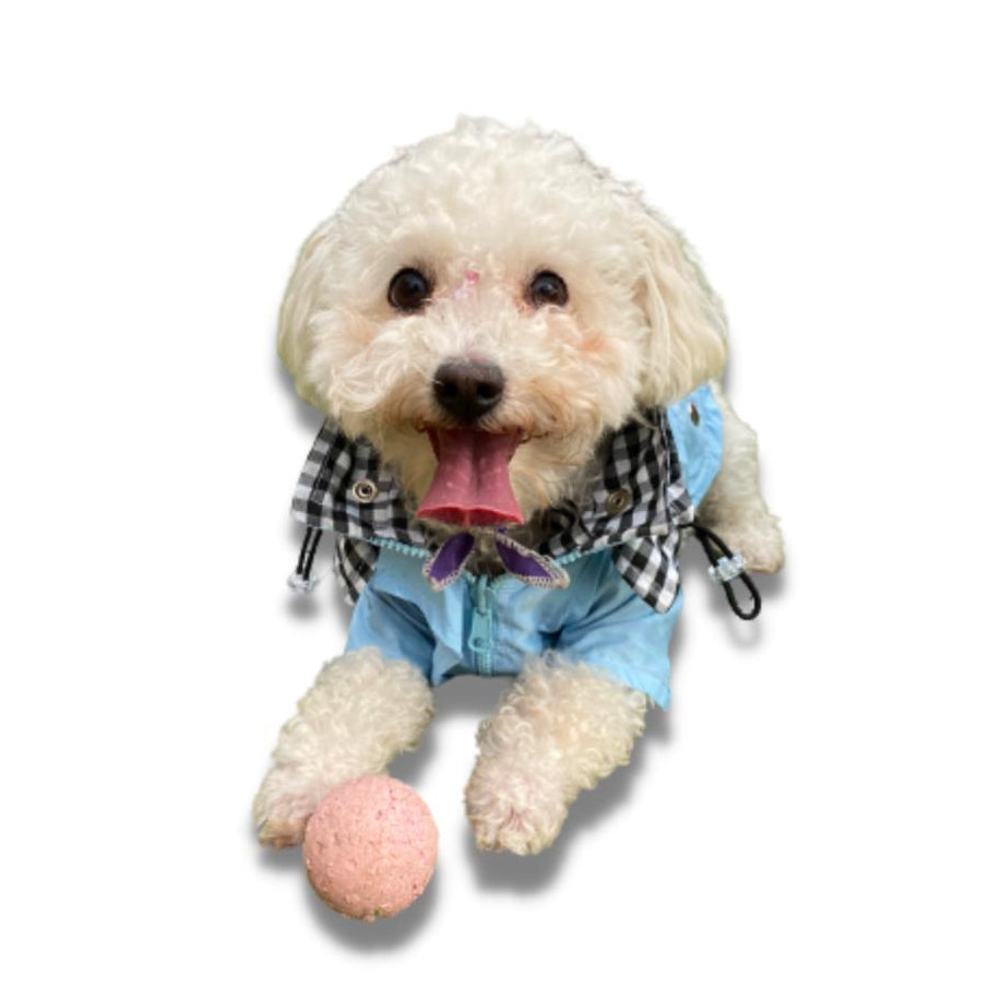 CHAQUETA IMPERMEABLE OFERTA