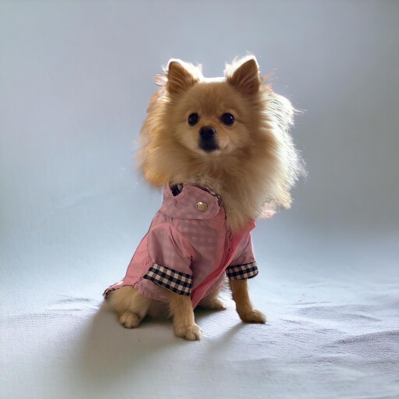 CHAQUETA IMPERMEABLE OFERTA