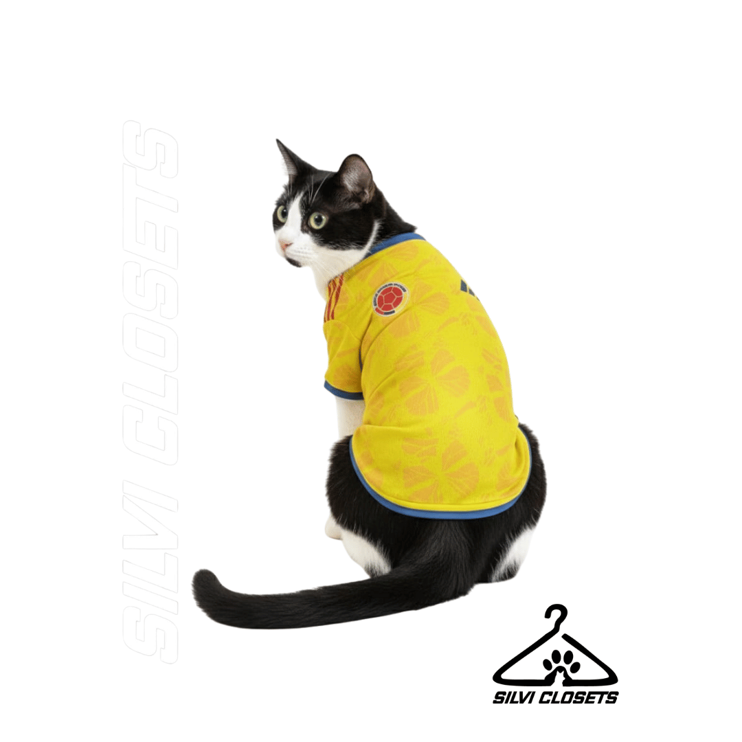 CAMISA DEL MUNDIAL PARA GATOS 2026