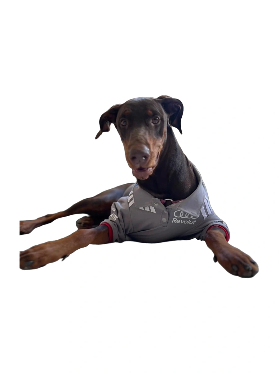 Camisa Polo F1 - Audi