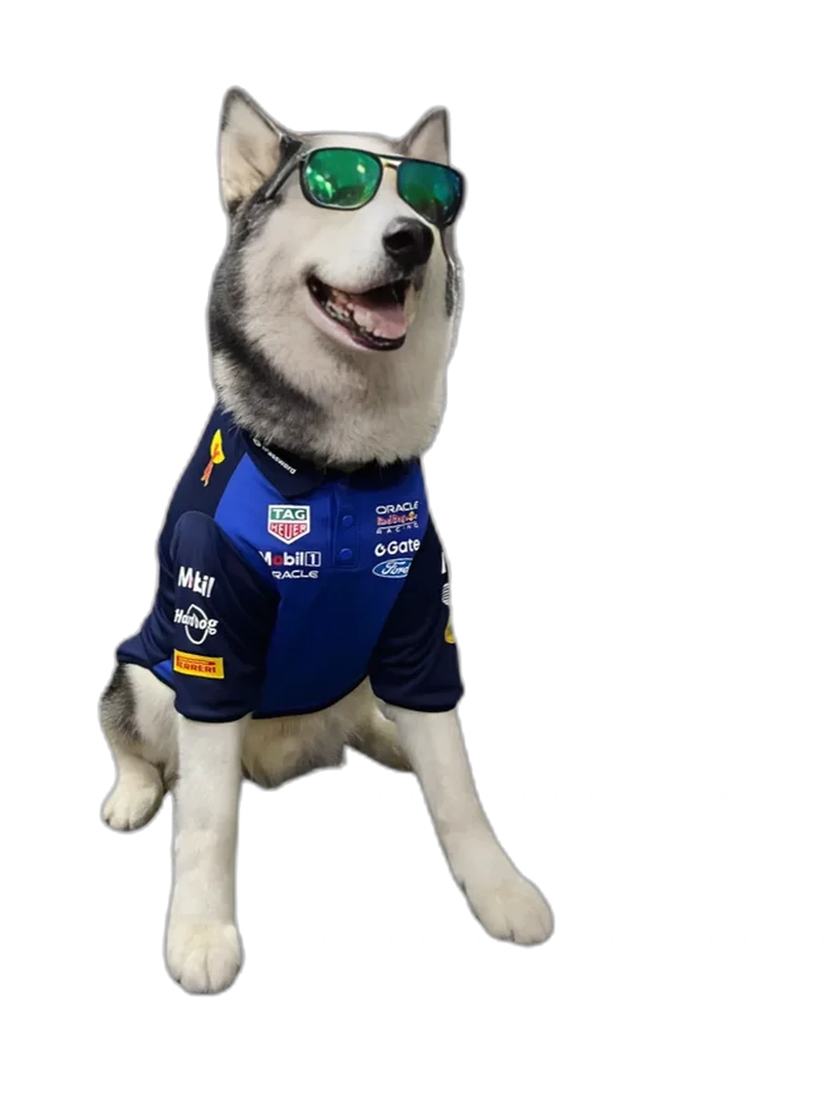 Camisa Polo F1 - Red Dog