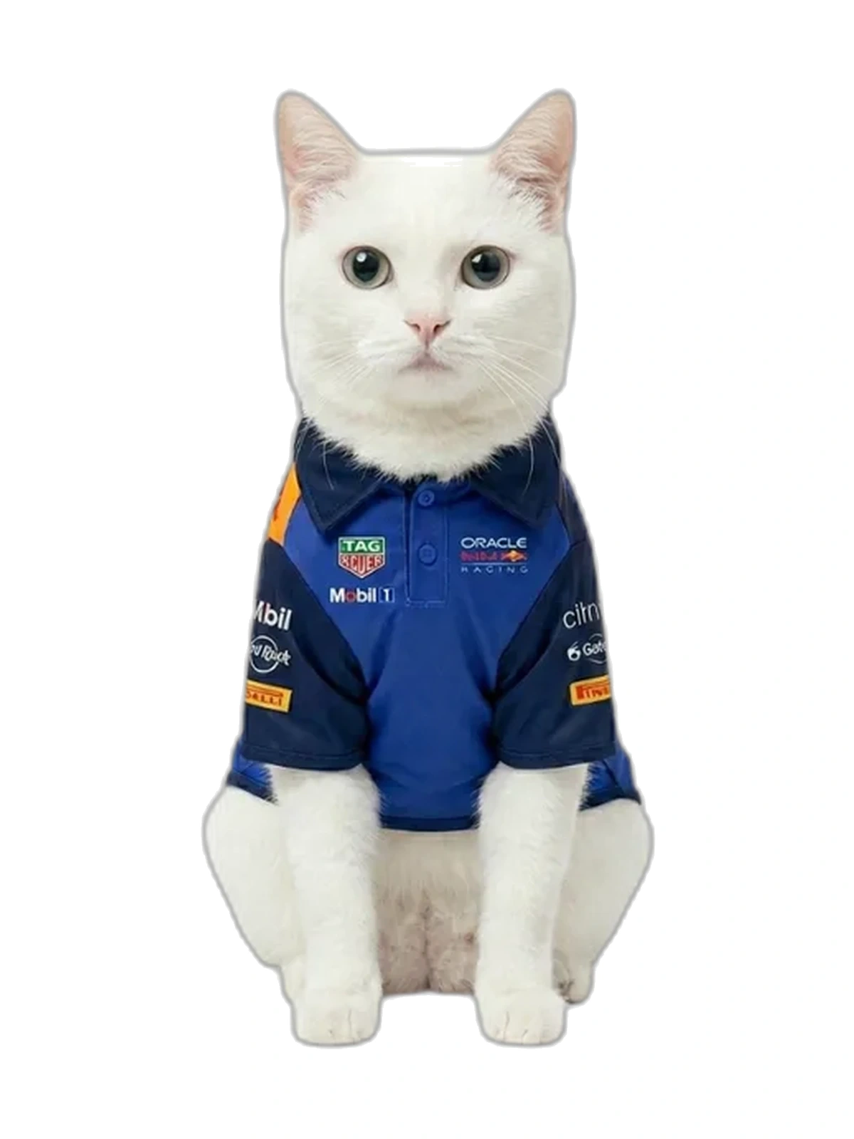 Camisa Polo F1 - Red Cat