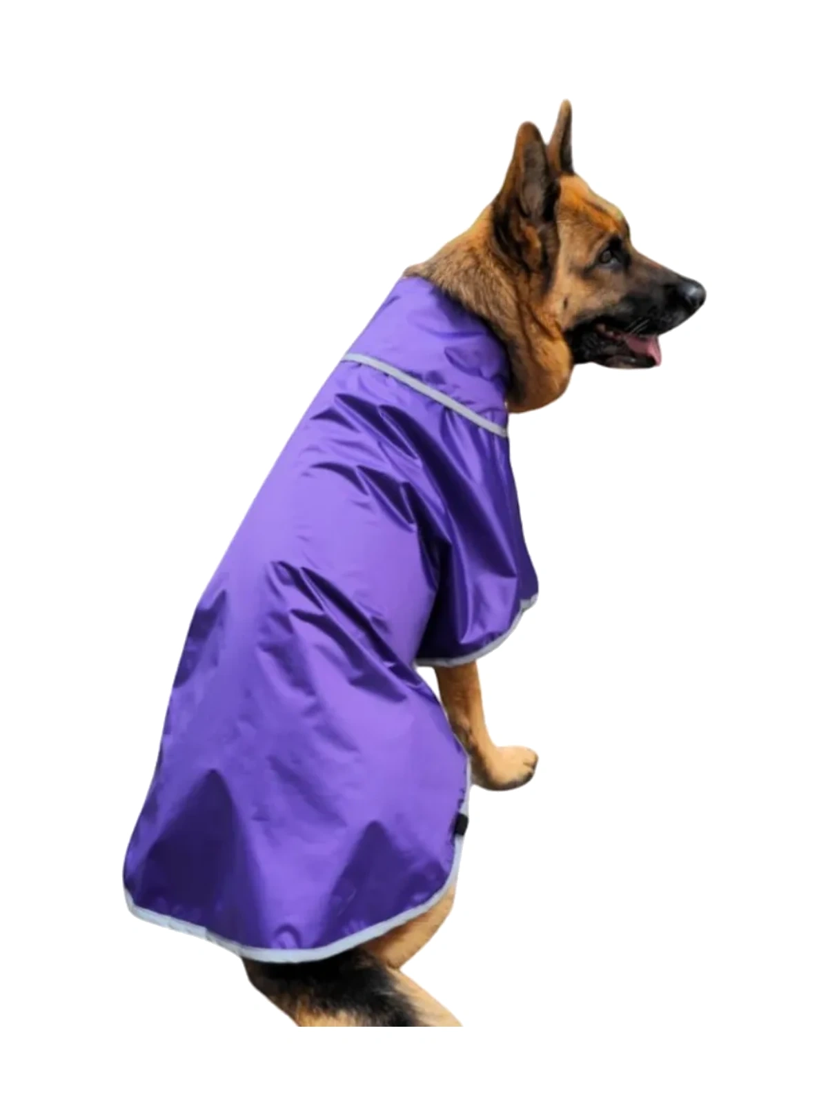 Capa para la Lluvia Lila
