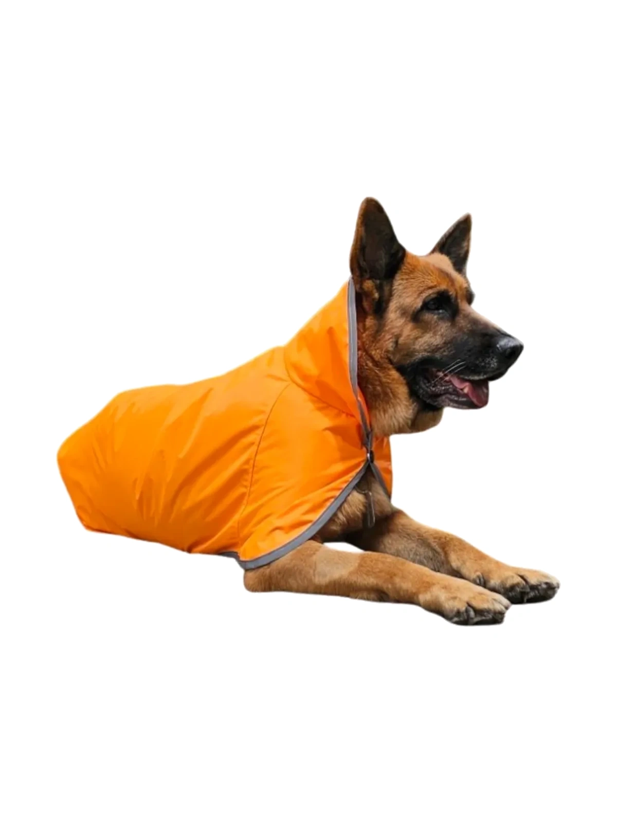 Capa para la Lluvia Naranja