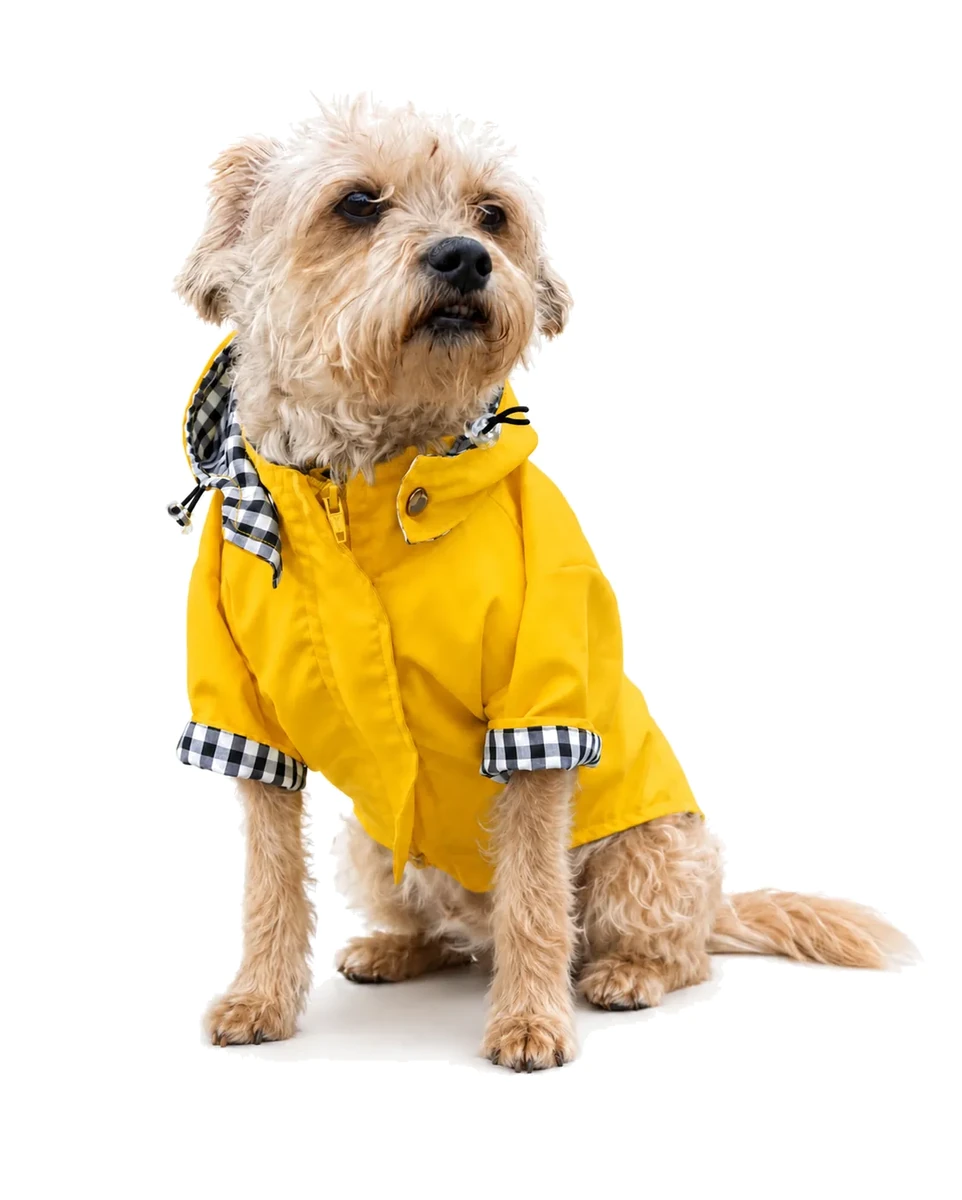 Chaqueta Impermeable Mascota Amarillo