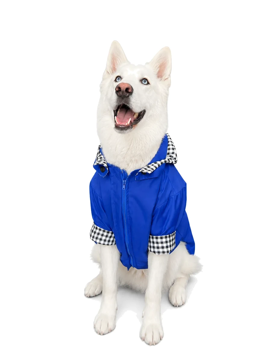 Chaqueta Impermeable Mascota Azul Rey