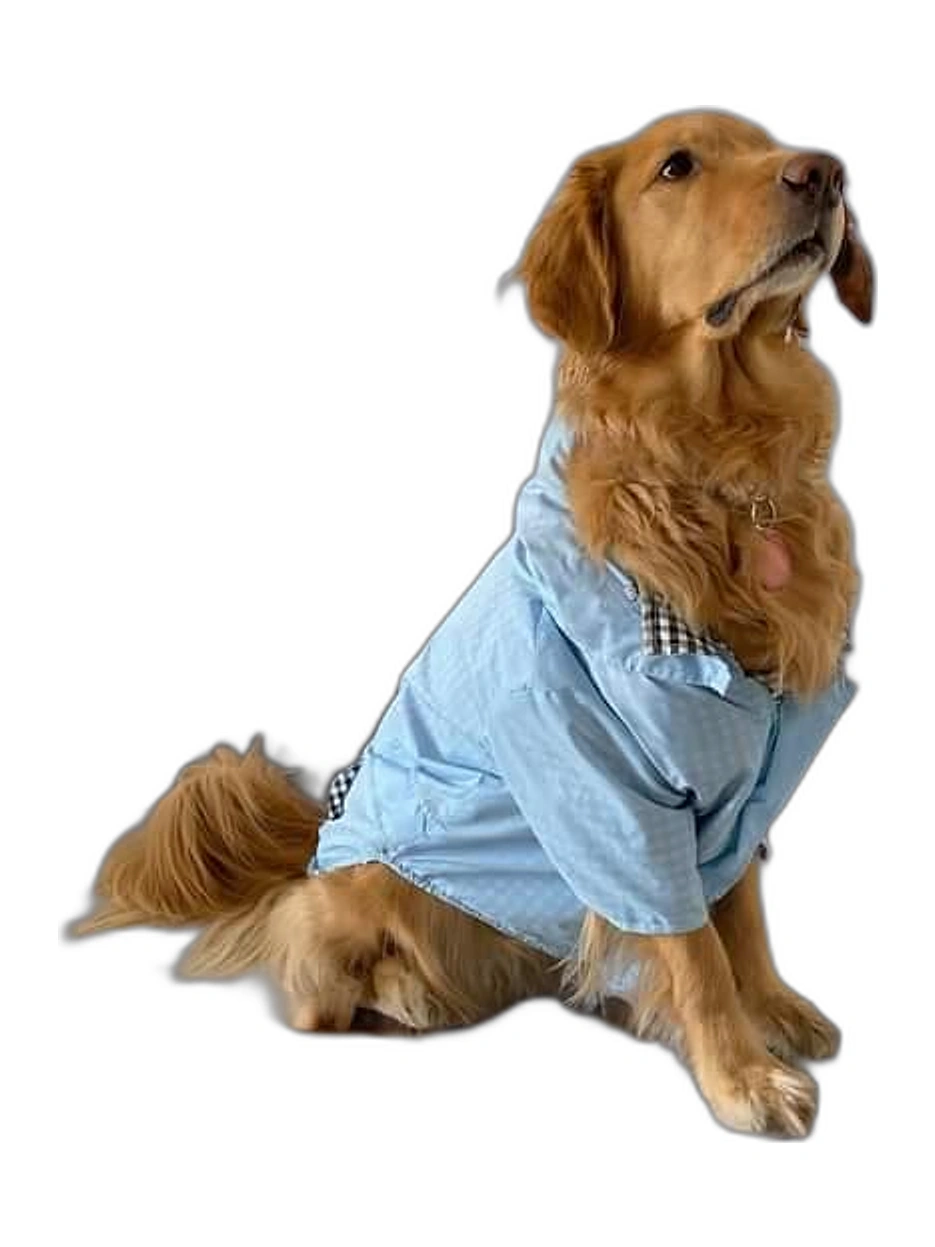 Chaqueta Impermeable Mascota Azul cielo