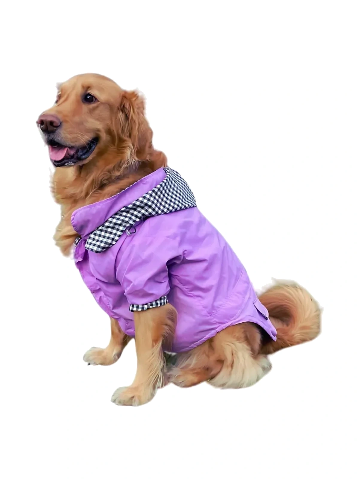 Chaqueta Impermeable Mascota Lila