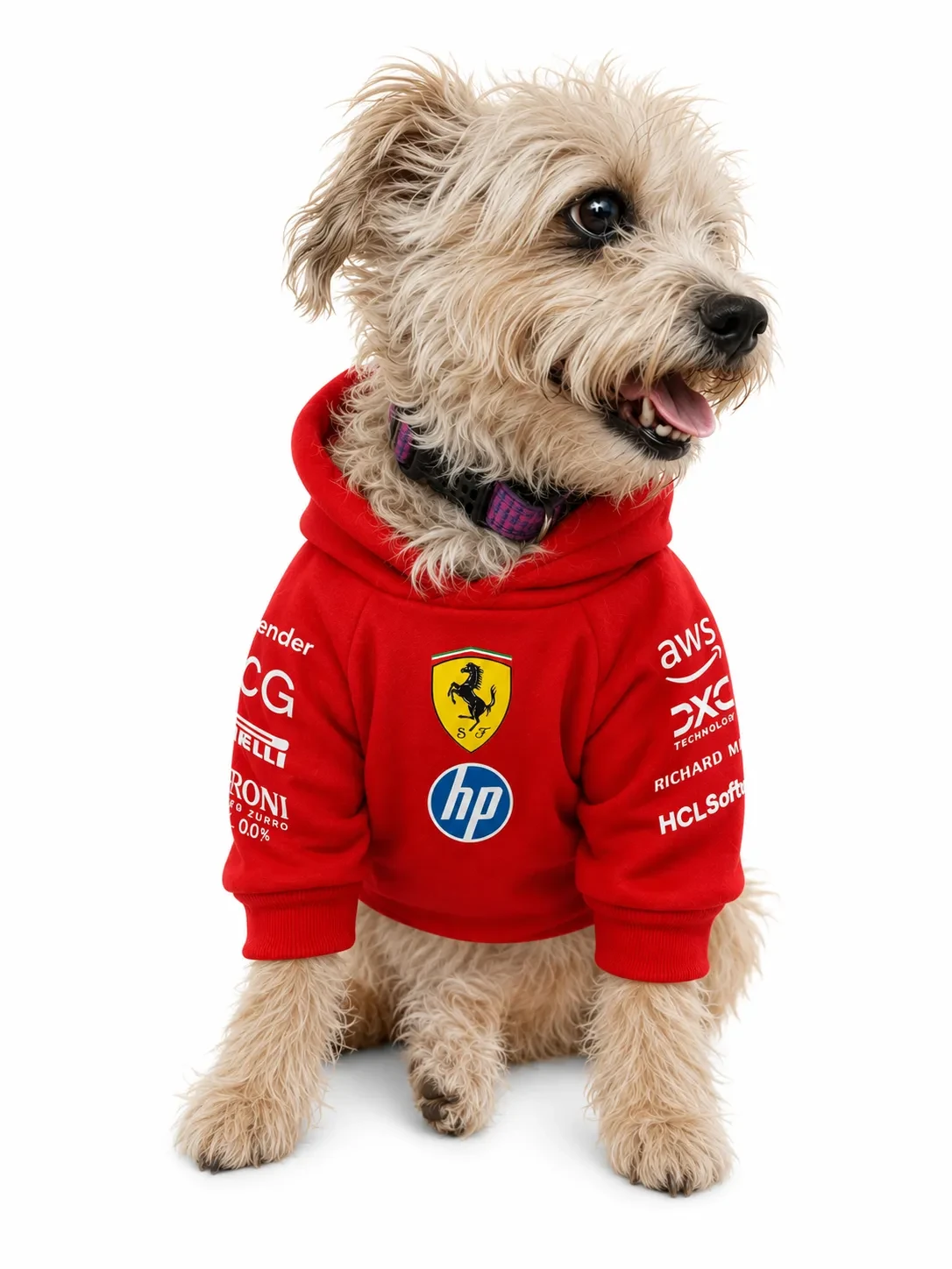 Hoodie F1 - Perrari 2025
