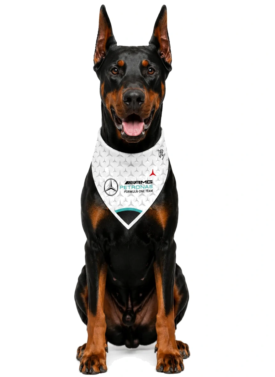 Pañoleta F1 - Mercedes