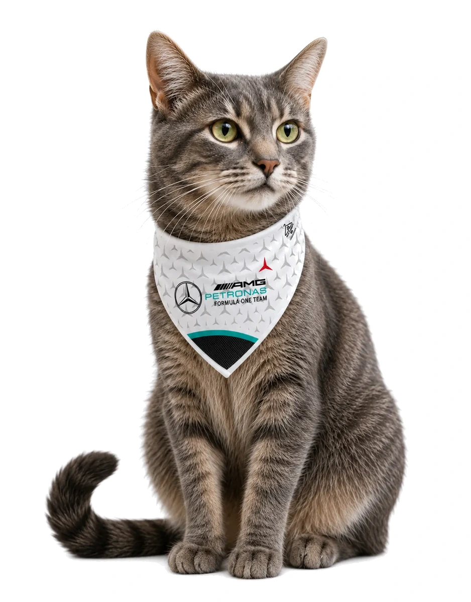 Pañoleta F1 - Mercedes