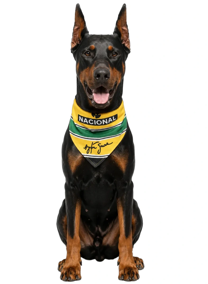 Pañoleta F1 - SENA