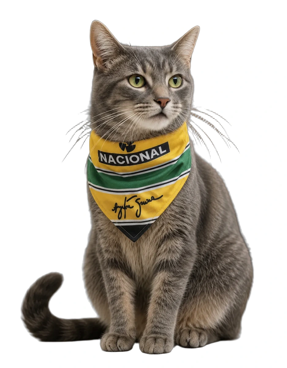 Pañoleta F1 - SENA